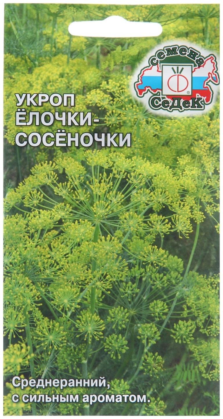 Семена Укроп 