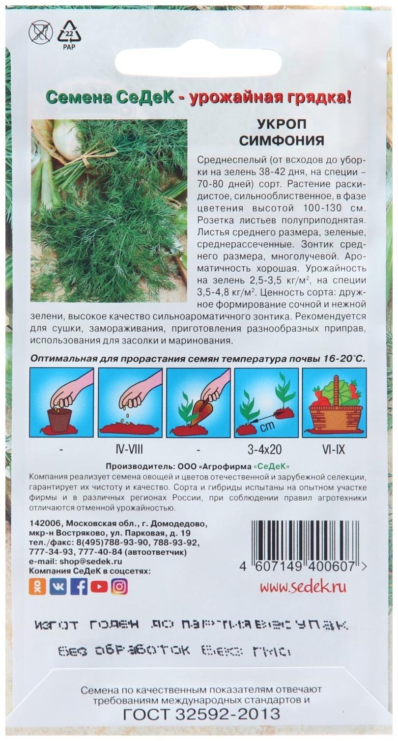 Семена Укроп 