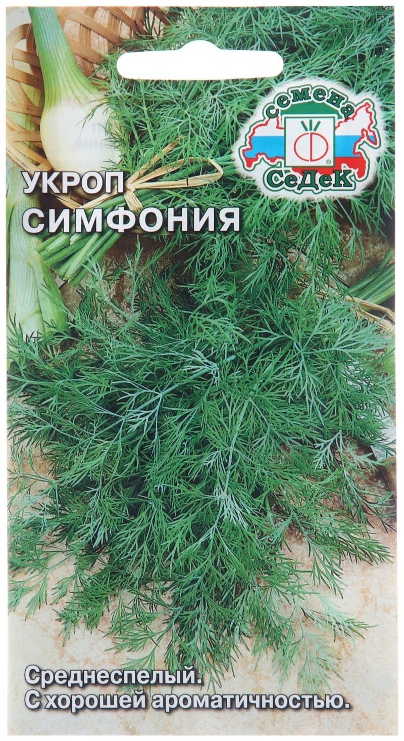 Семена Укроп 