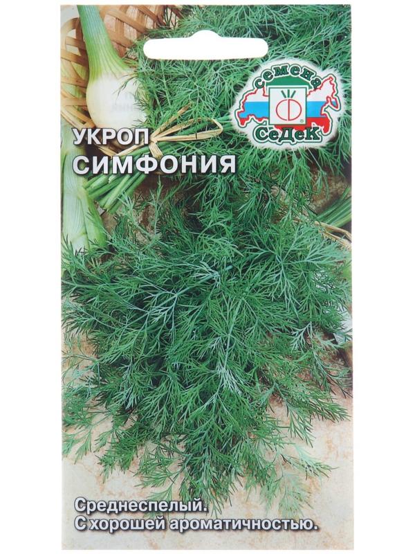 Семена Укроп 