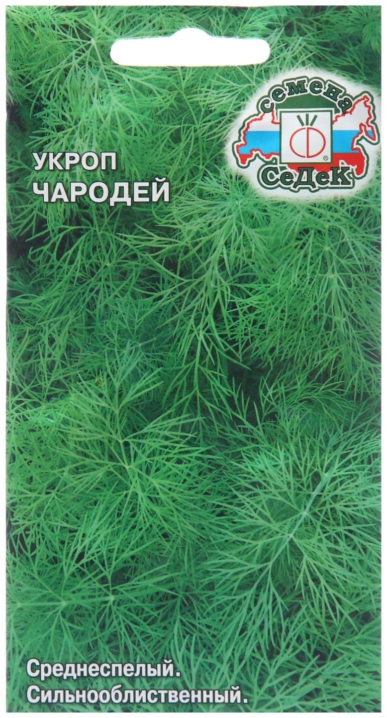 Семена Укроп 