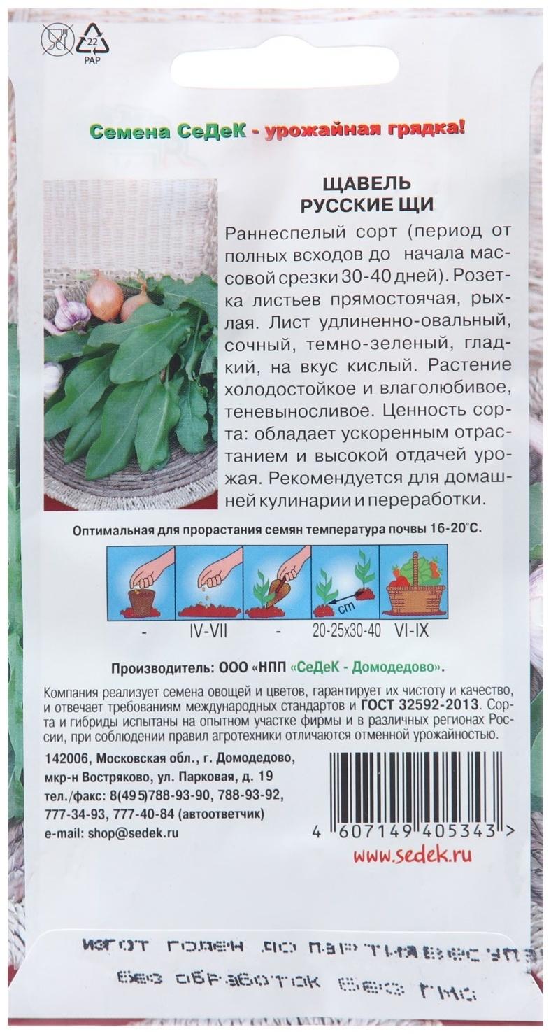 Семена Щавель 