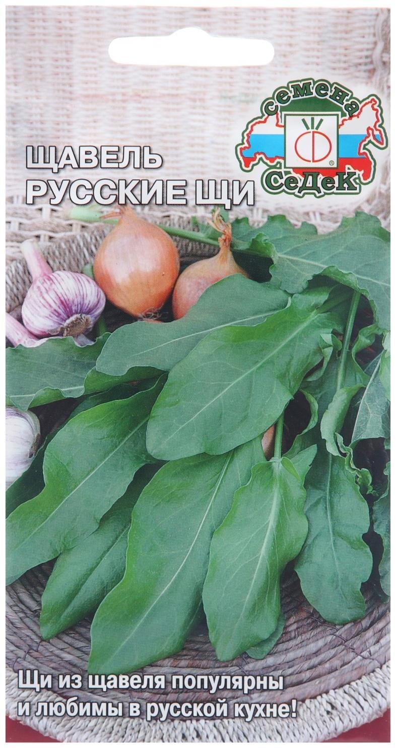 Семена Щавель 
