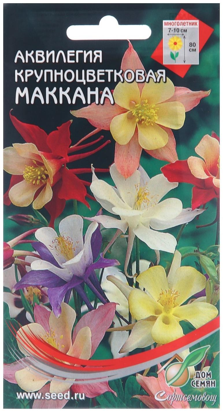 Семена цветов Аквилегия крупноцветковая 
