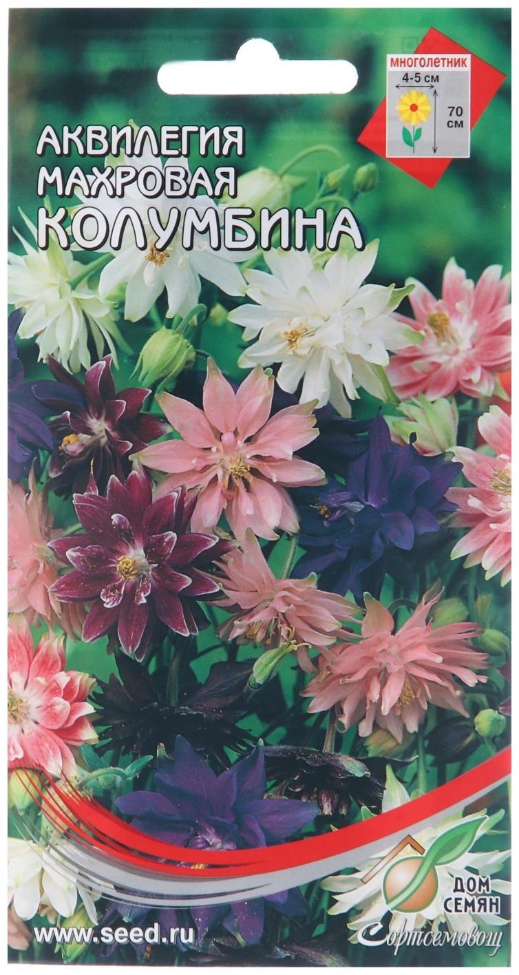 Семена цветов Аквилегия махровая 
