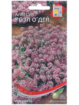 Семена цветов Алиссум 