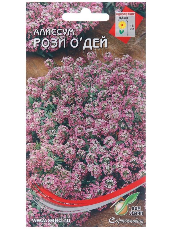 Семена цветов Алиссум 