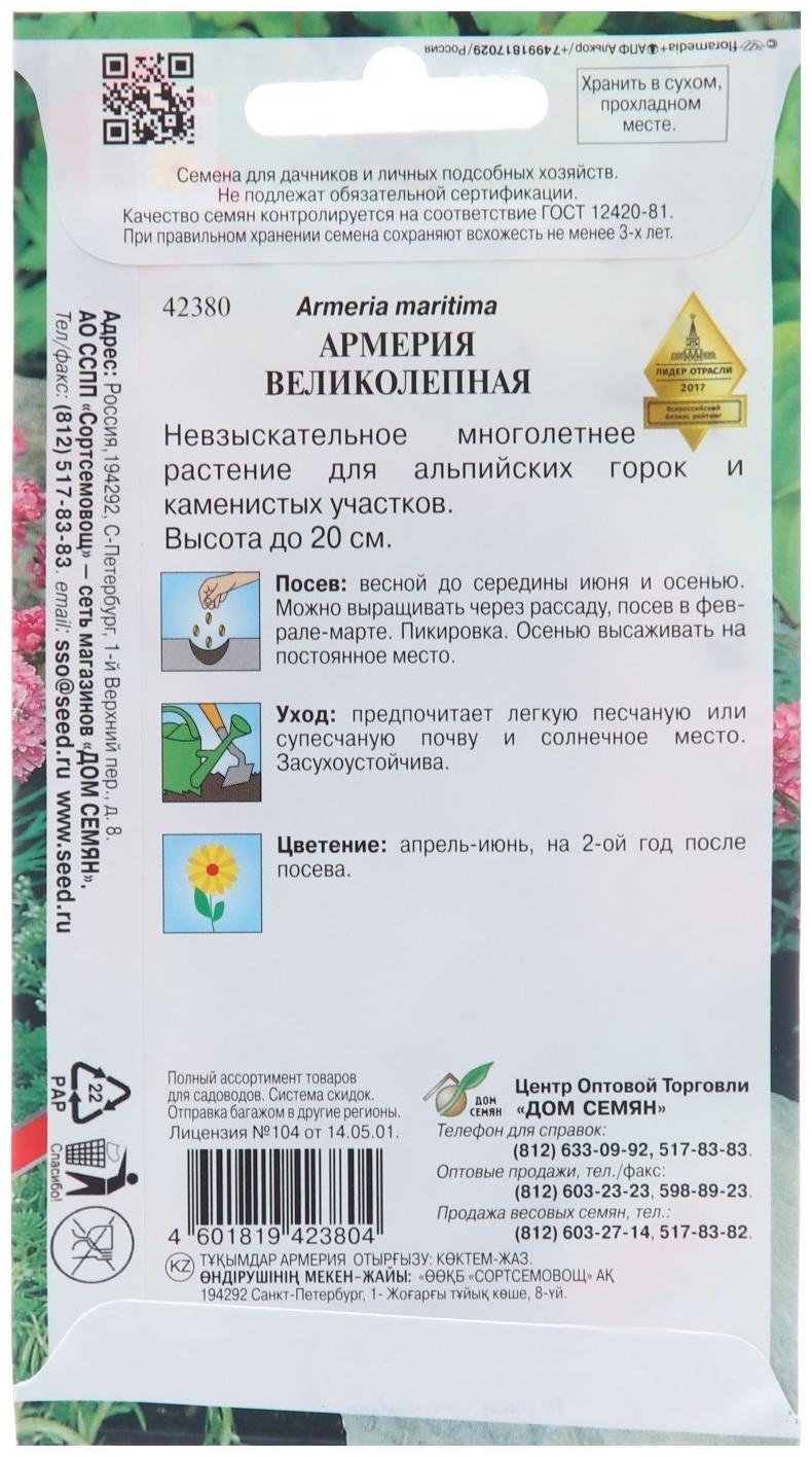 Семена цветов Армерия 