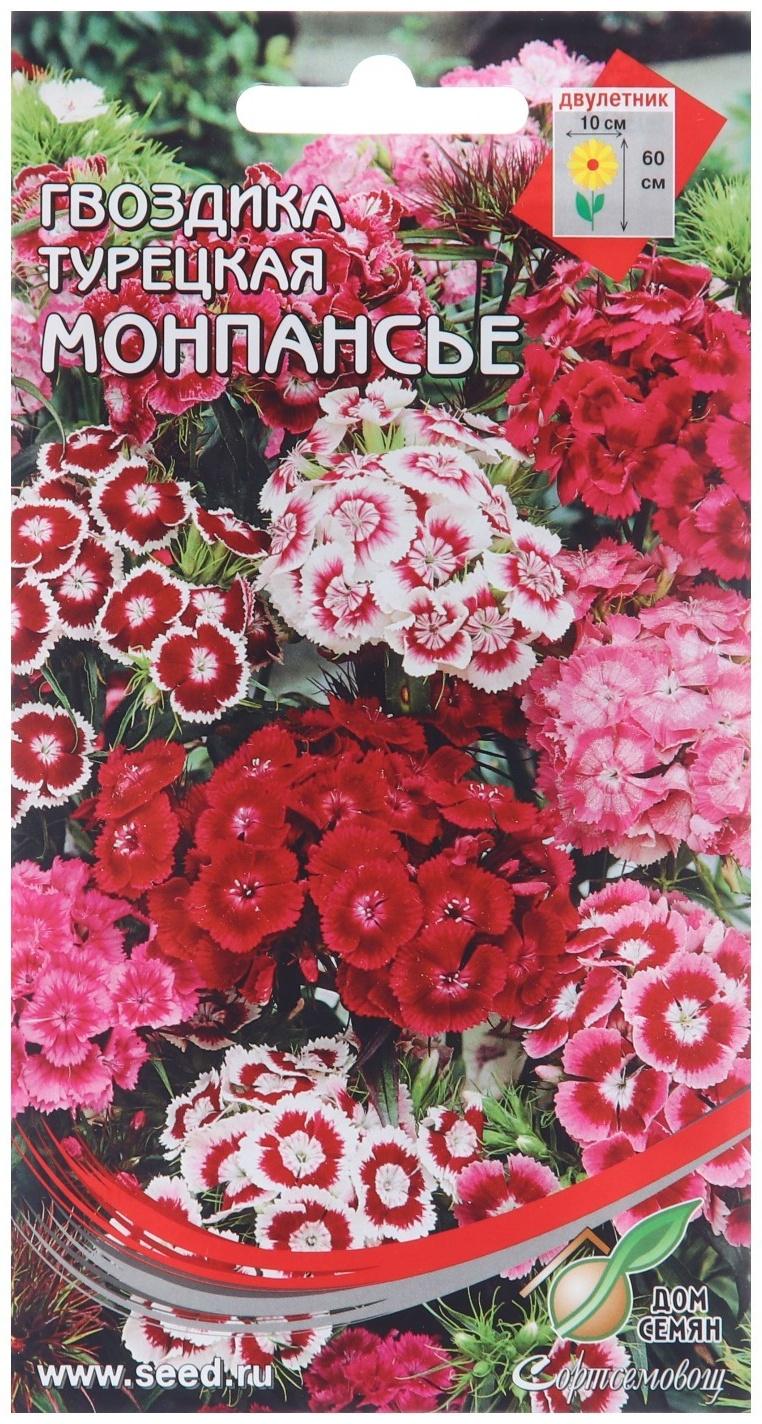 Семена цветов Гвоздика турецкая 
