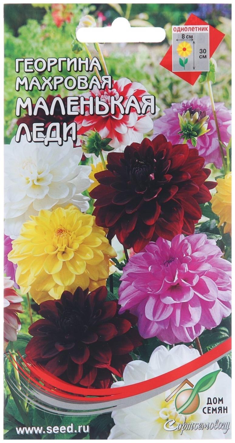 Семена цветов Георгина махровая 