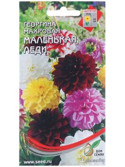 Семена цветов Георгина махровая 