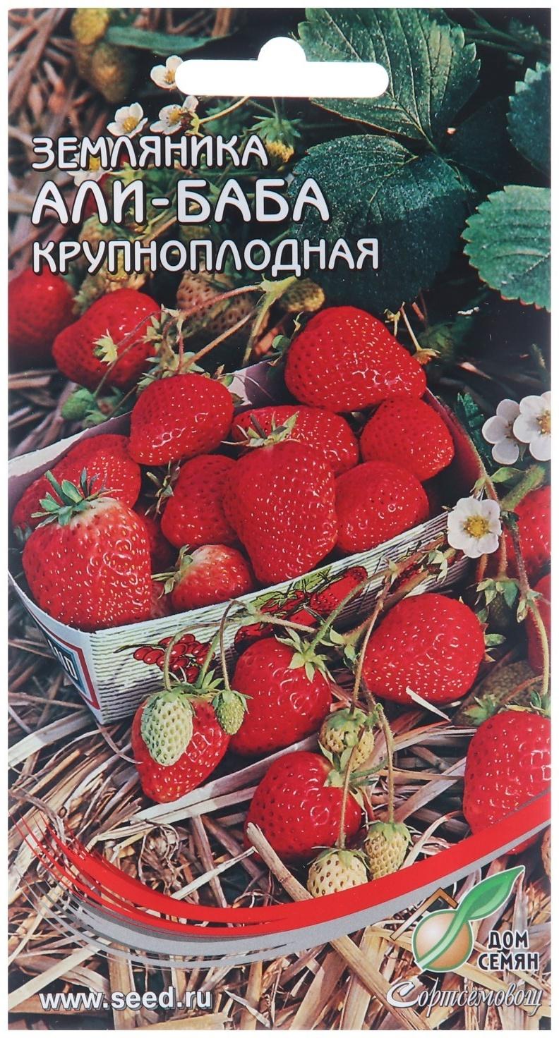 Семена Земляника 