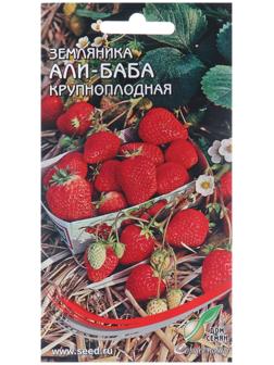 Семена Земляника 
