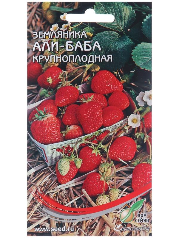 Семена Земляника 