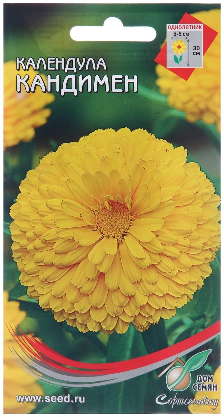 Семена цветов Календула 