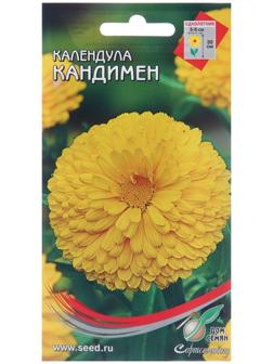Семена цветов Календула 