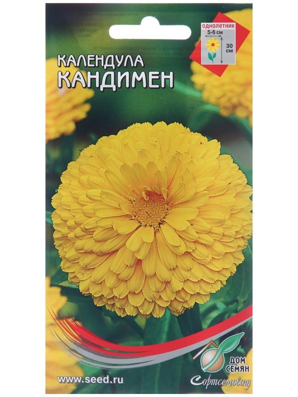 Семена цветов Календула 