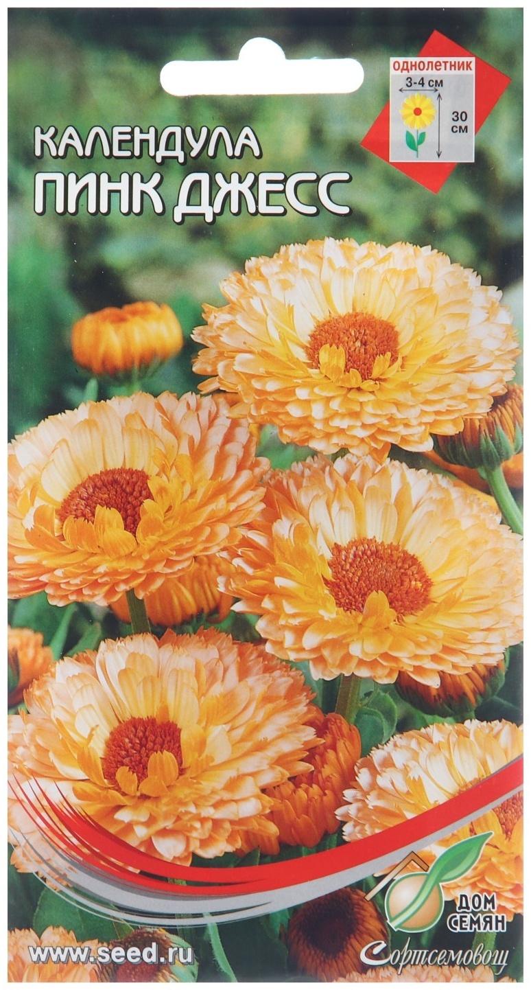 Семена цветов Календула 