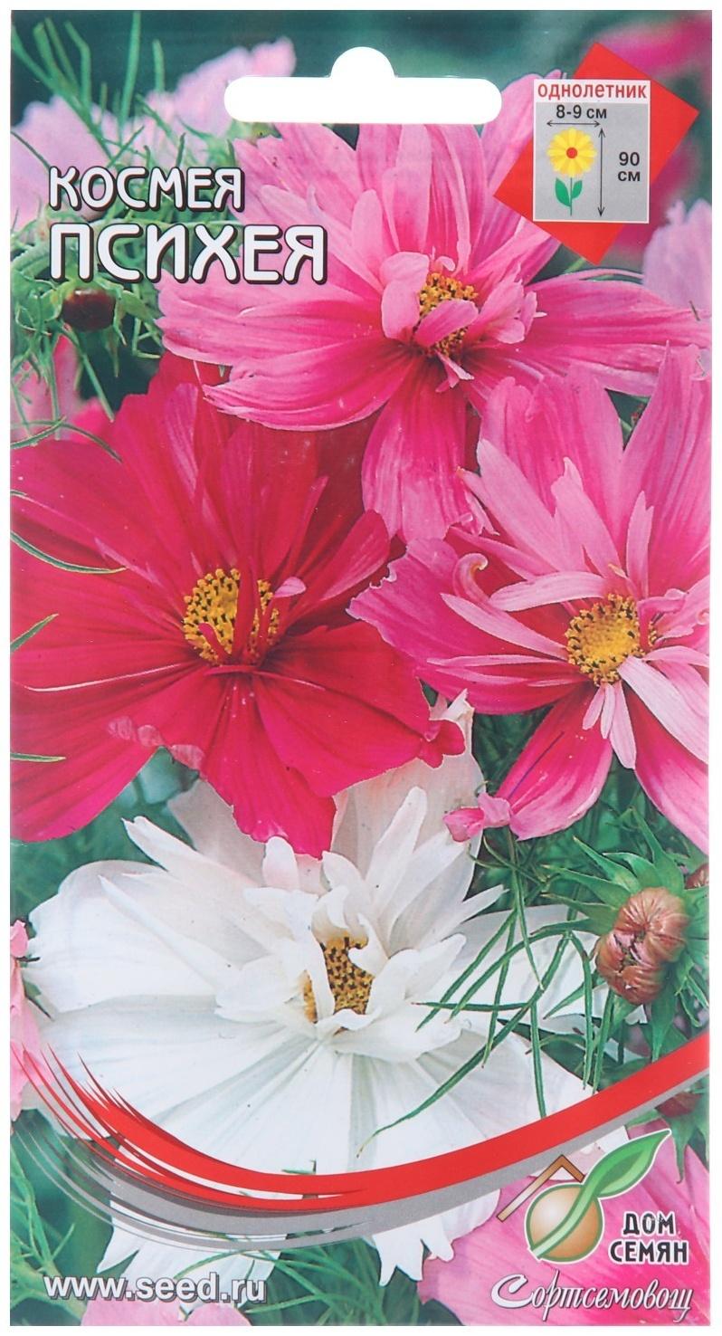 Семена цветов Космея махровая 