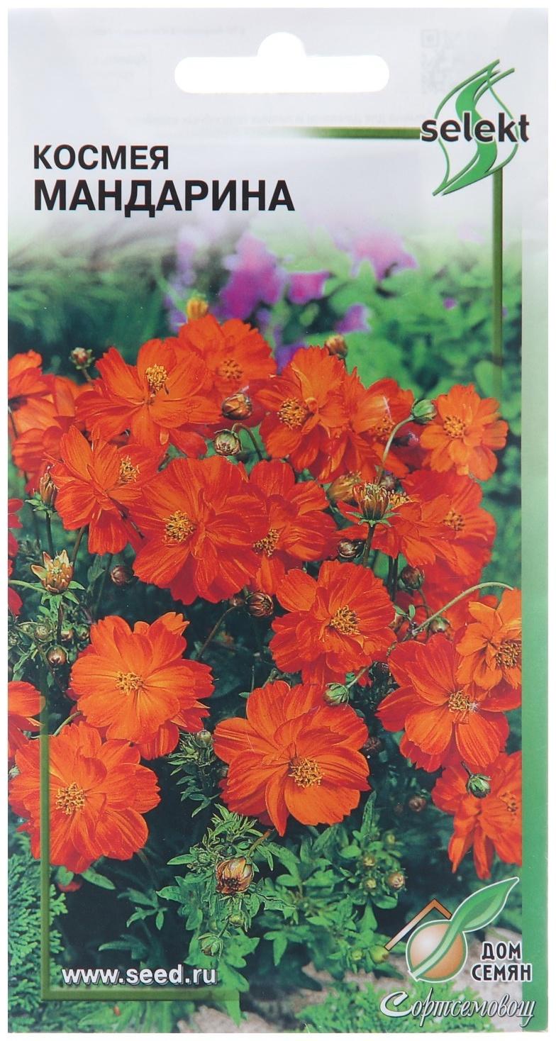 Семена цветов Космея 