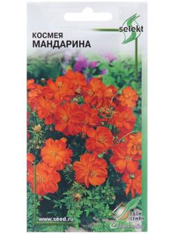 Семена цветов Космея 