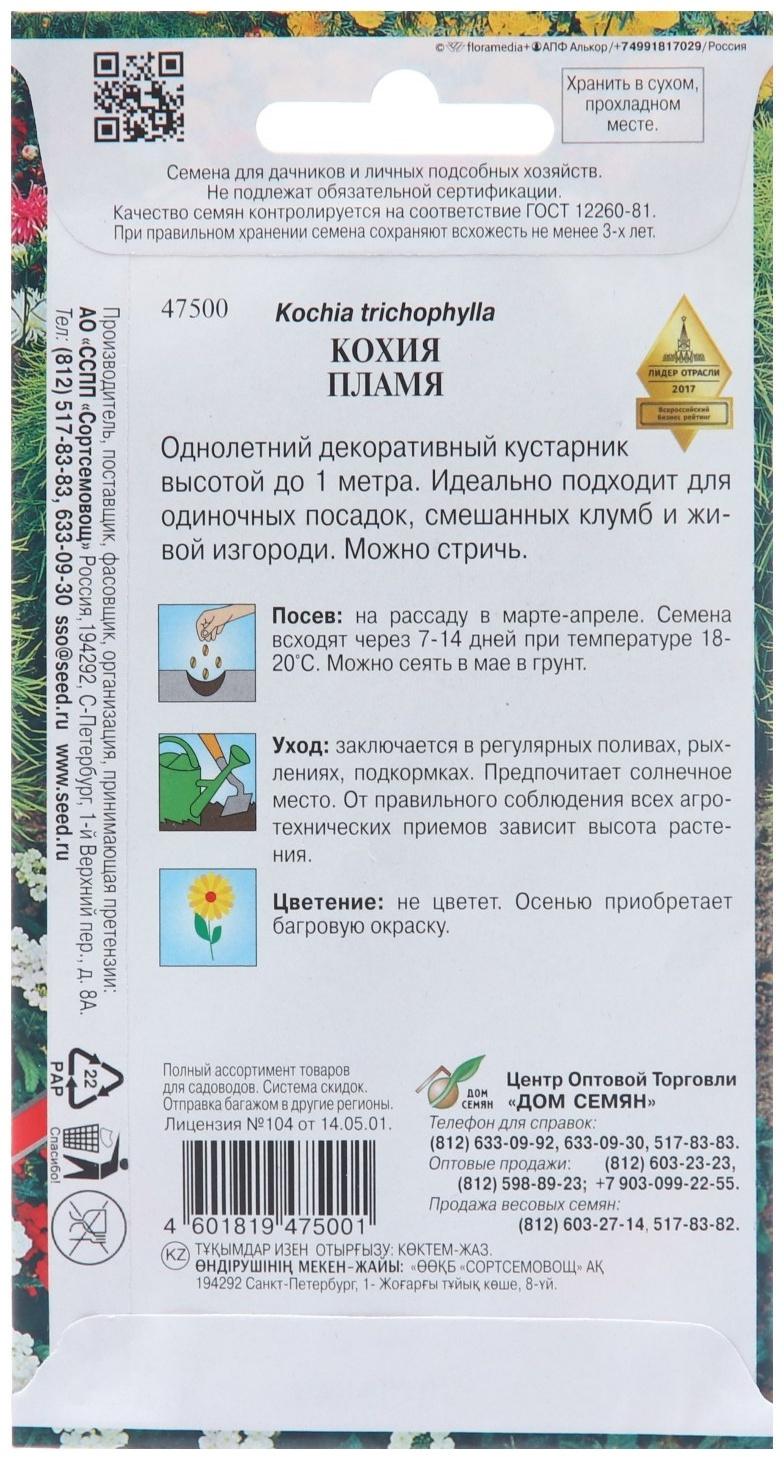 Семена цветов Кохия 