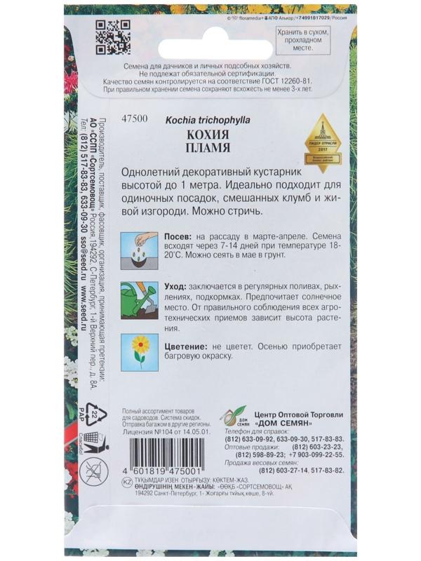 Семена цветов Кохия 