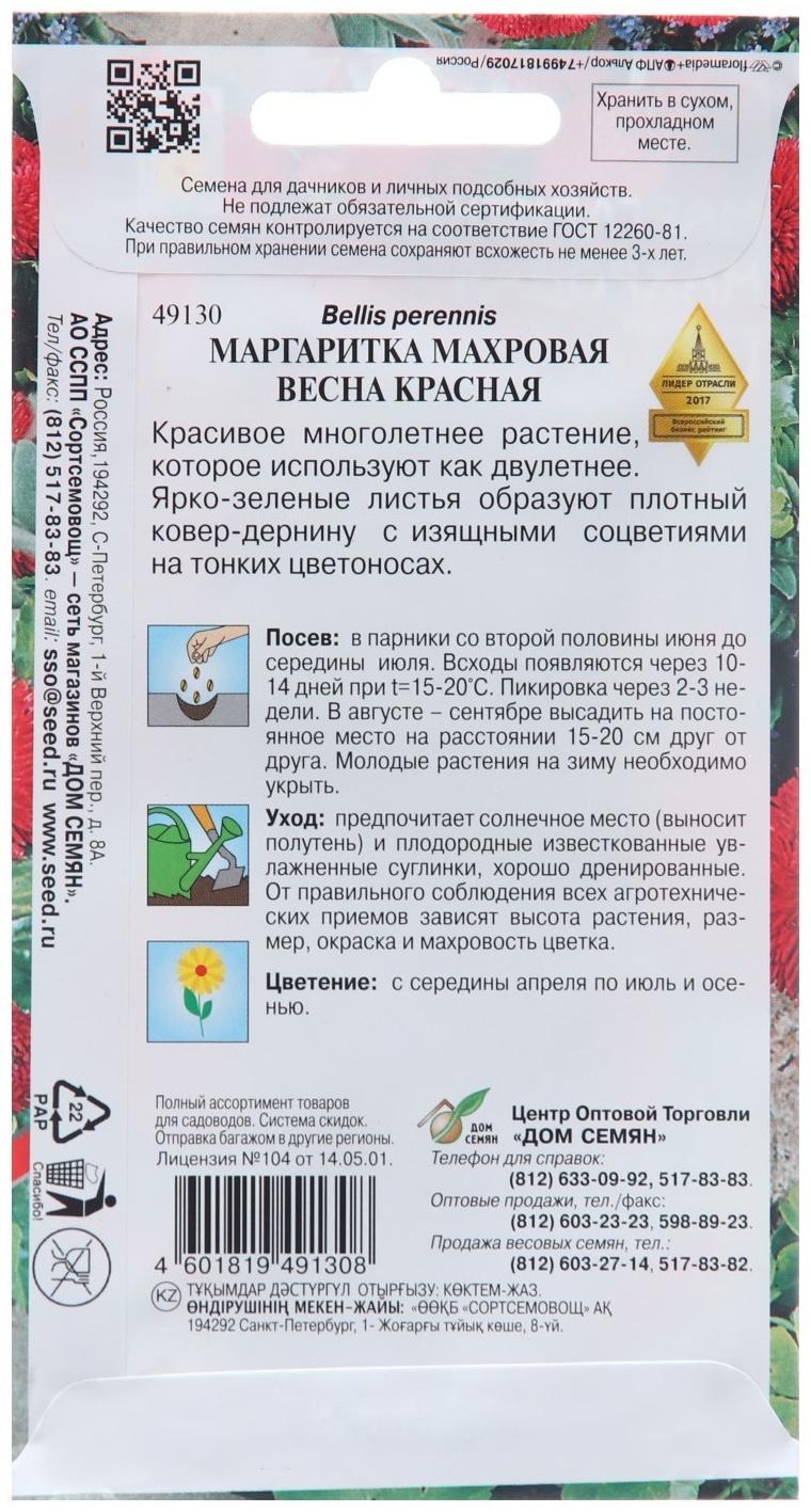 Семена цветов Маргаритка 