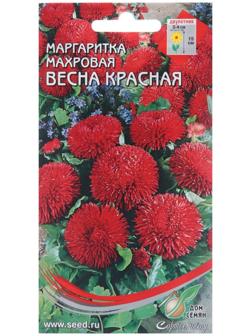 Семена цветов Маргаритка 