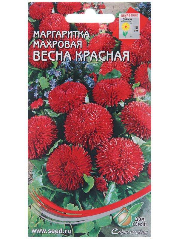 Семена цветов Маргаритка 