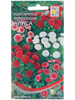 Семена цветов Маргаритка помпон. 