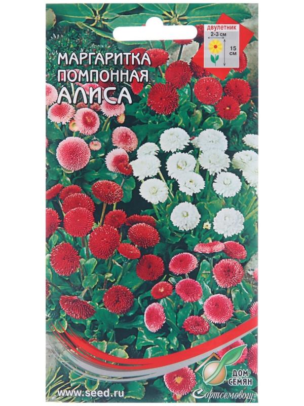 Семена цветов Маргаритка помпон. 