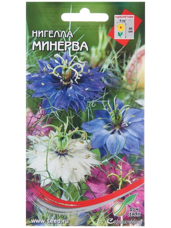 Семена цветов Нигела 