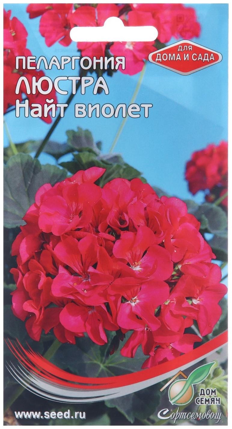 Семена цветов Пеларгония 