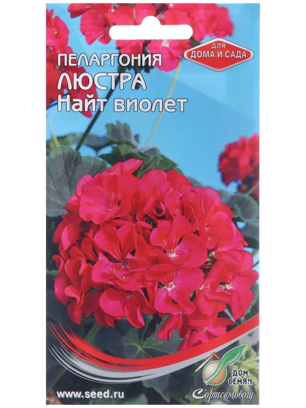 Семена цветов Пеларгония 