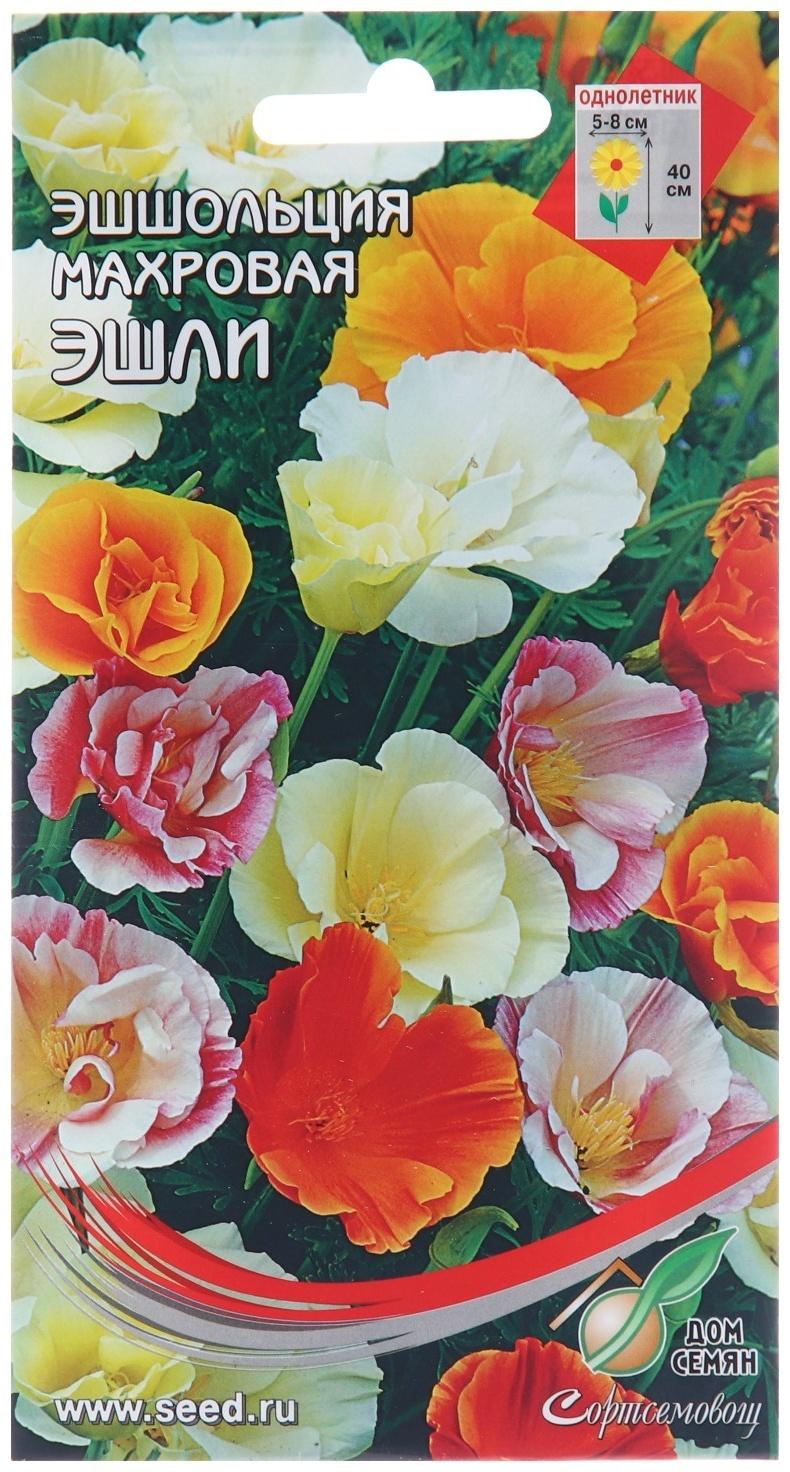 Семена цветов Эшшольция махр.
