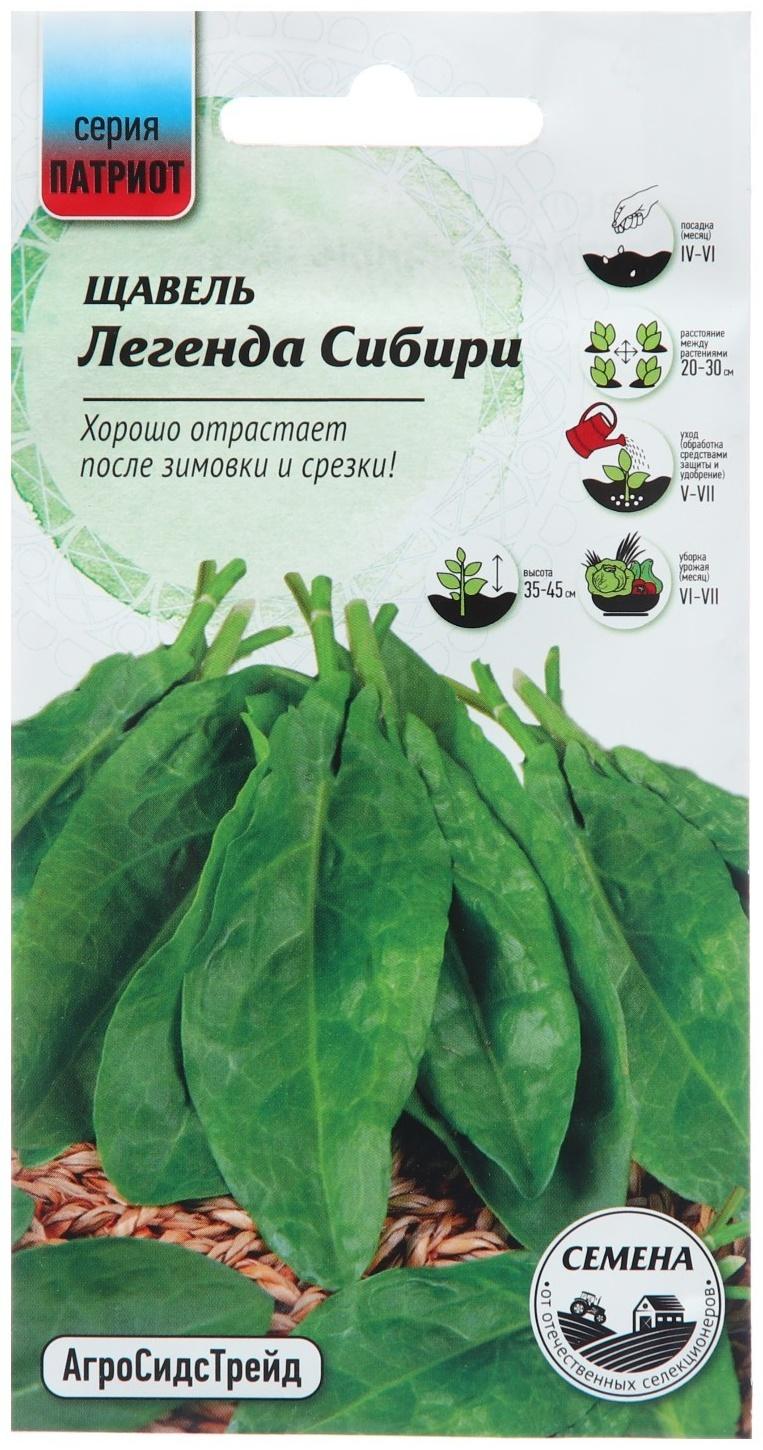 Семена Щавель 