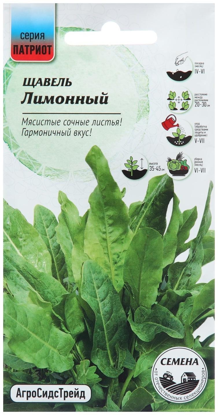 Семена Щавель 