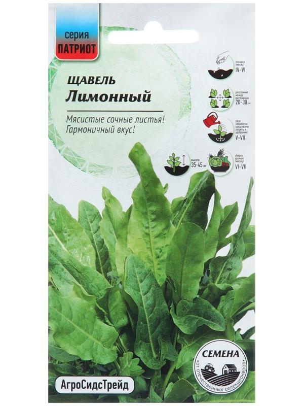 Семена Щавель 