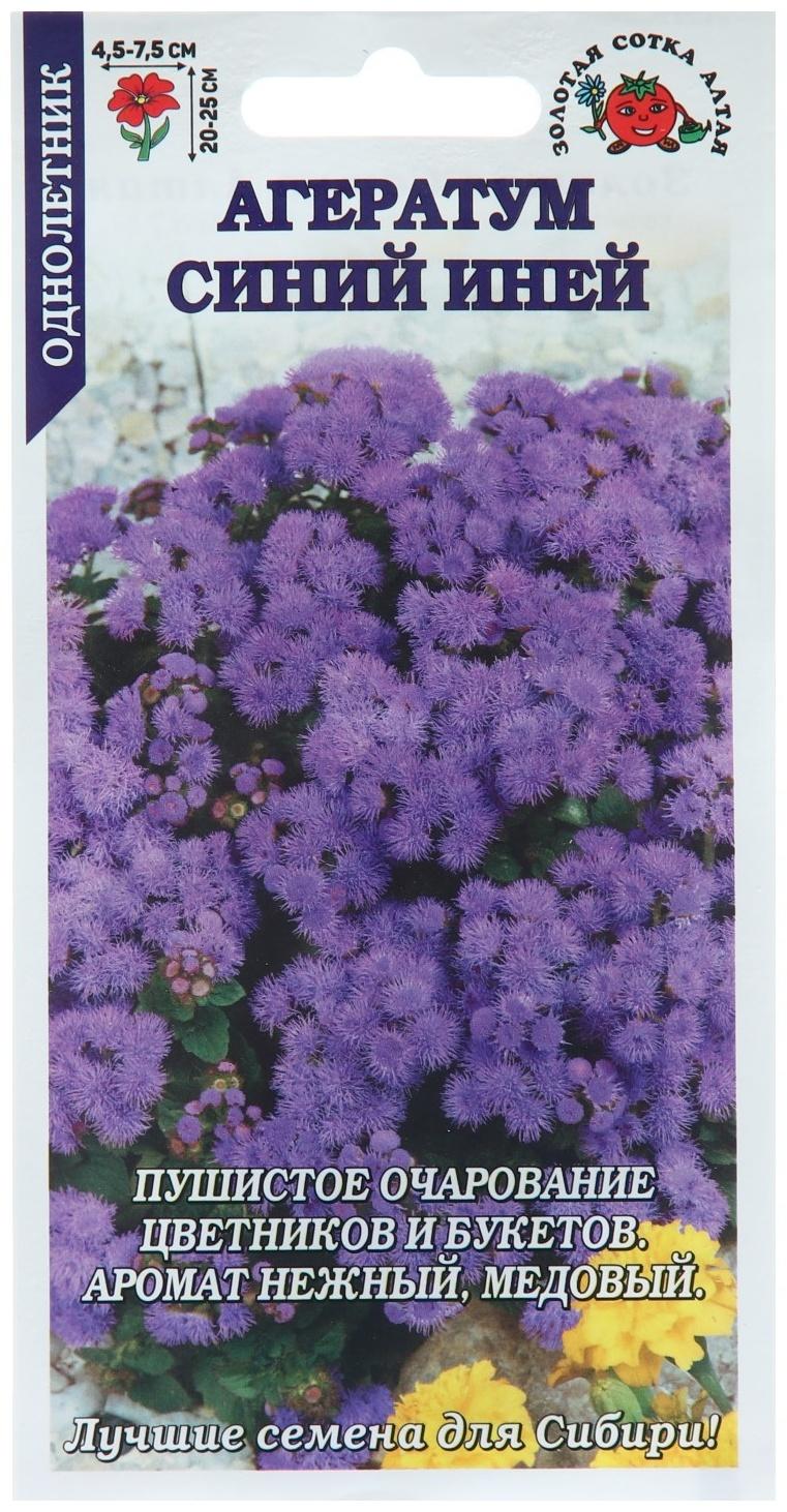 Семена цветов Агератум 