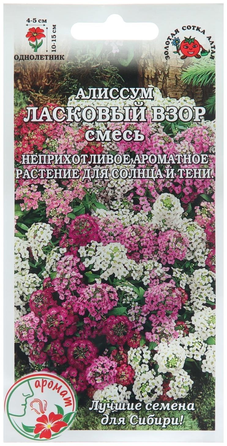 Семена цветов Алиссум 