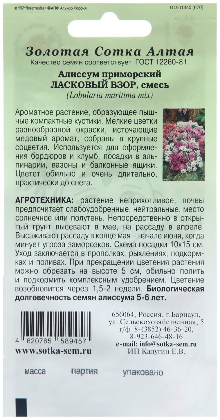 Семена цветов Алиссум 