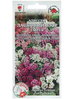 Семена цветов Алиссум 
