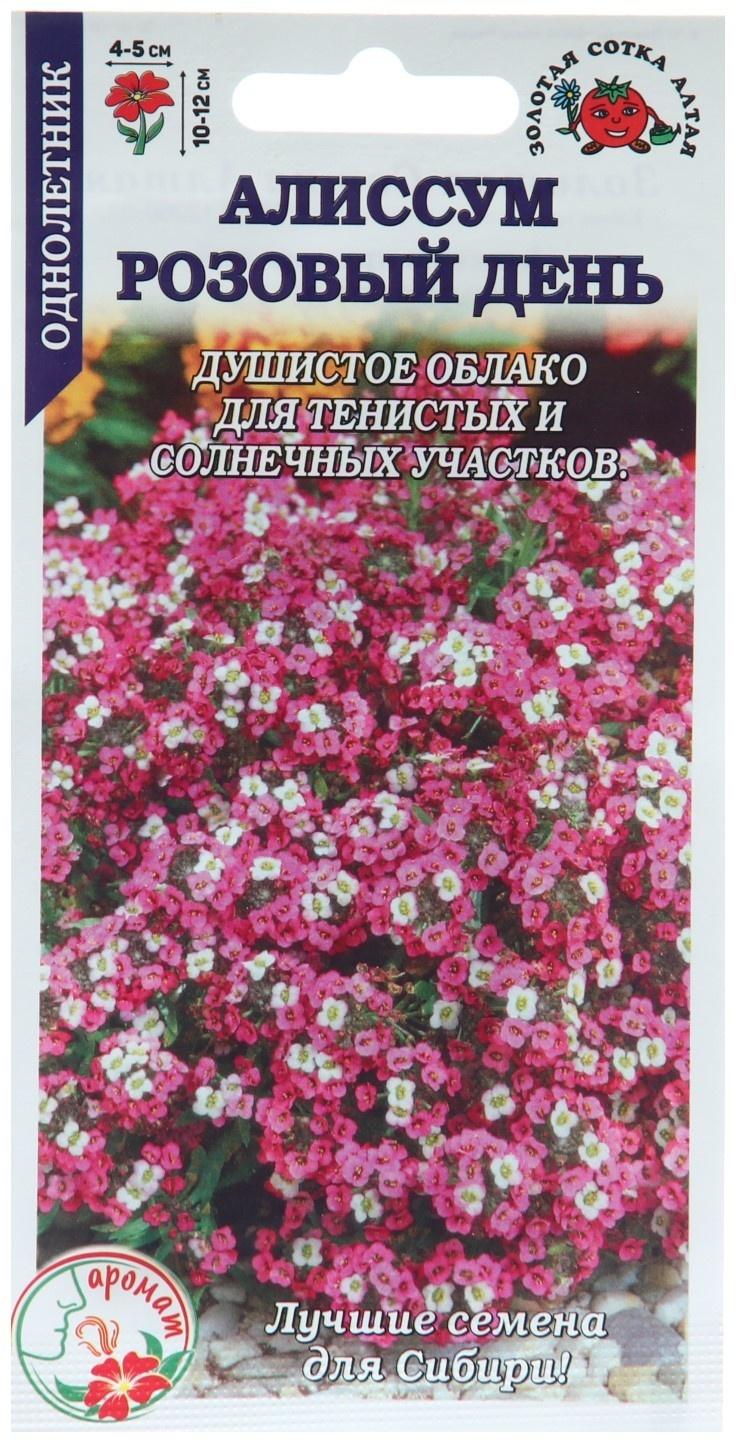 Семена цветов Алиссум 