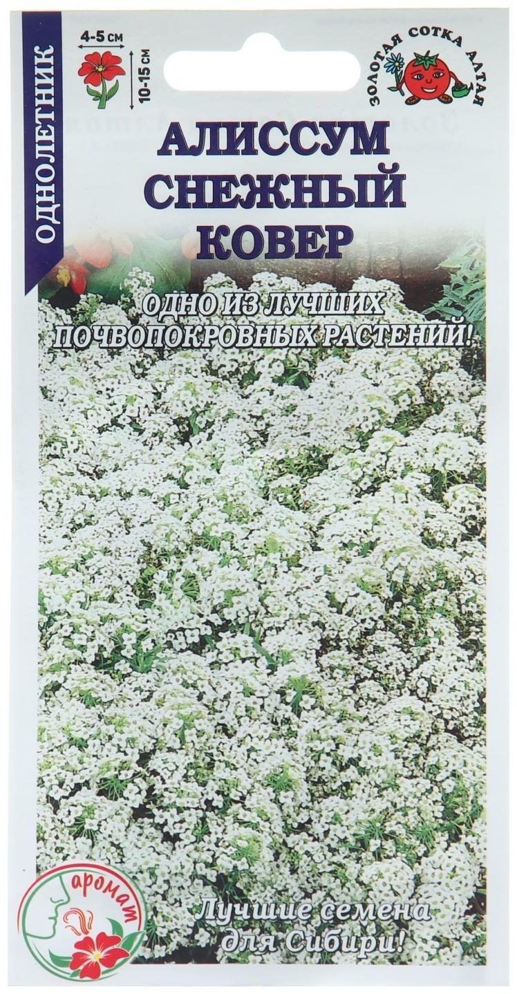 Семена цветов Алиссум 