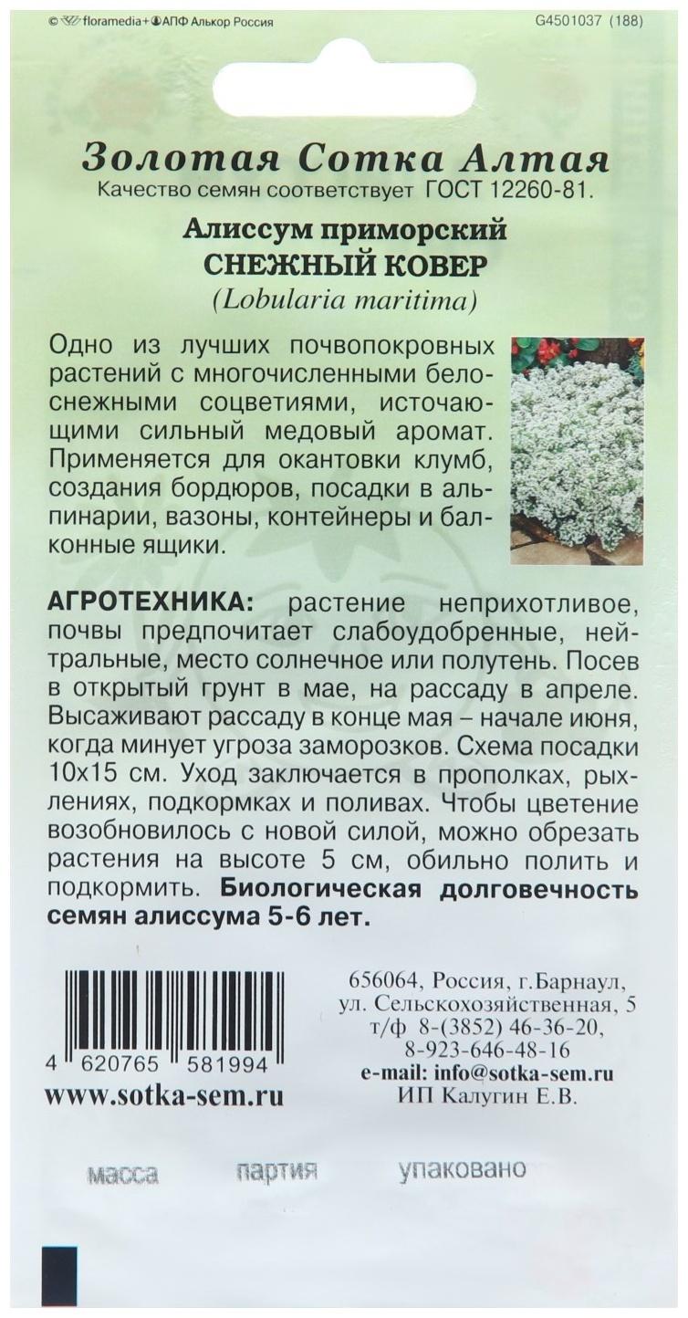 Семена цветов Алиссум 