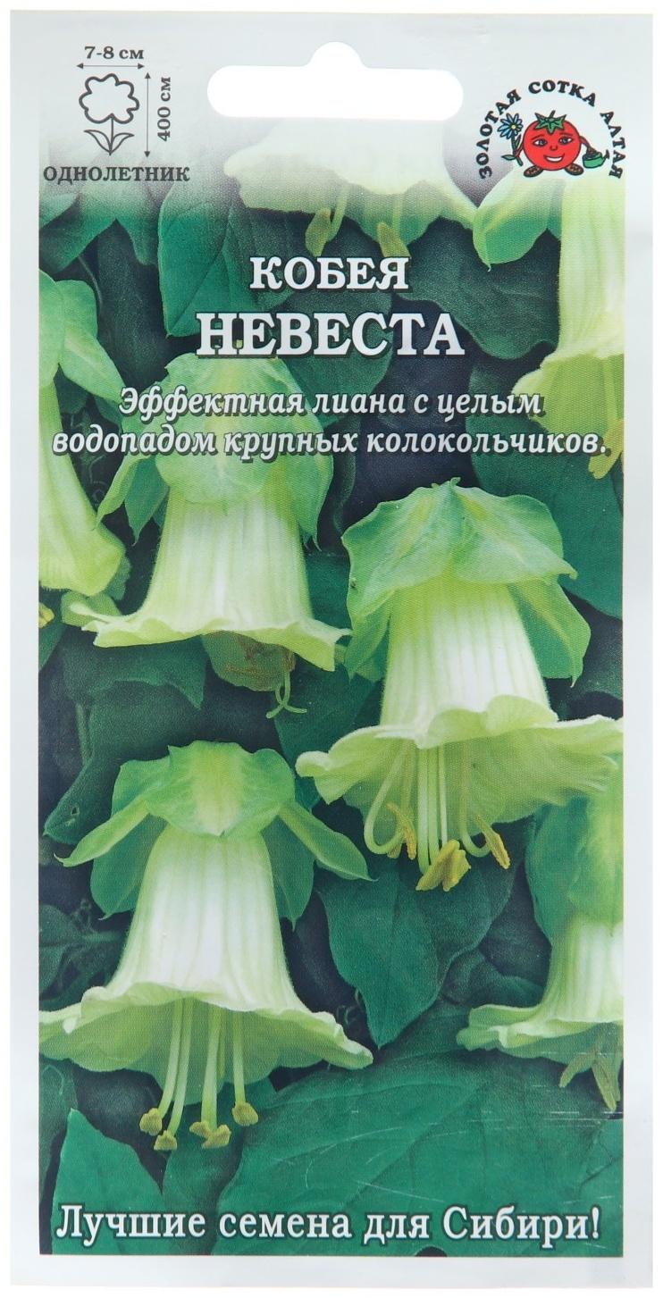 Семена цветов Кобея 