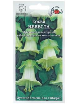 Семена цветов Кобея 