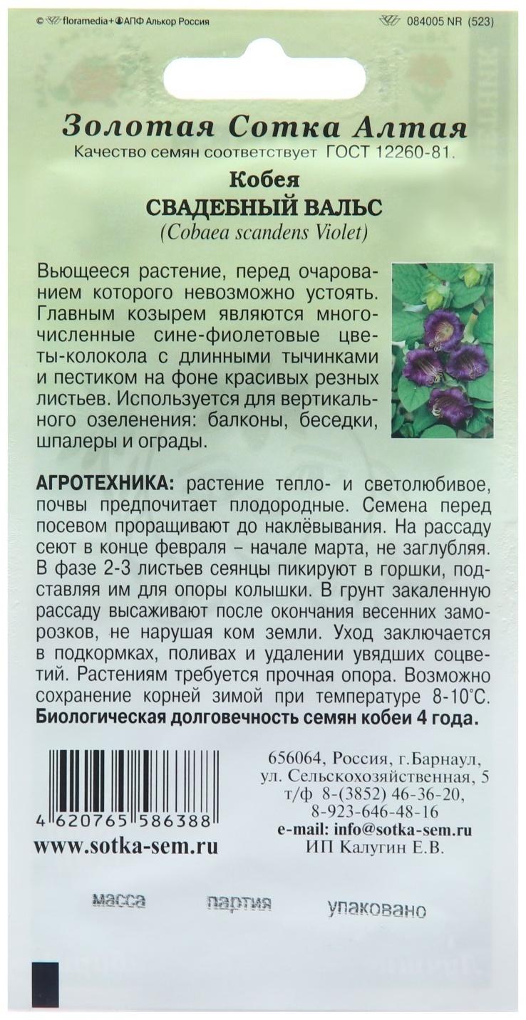 Семена цветов Кобея 