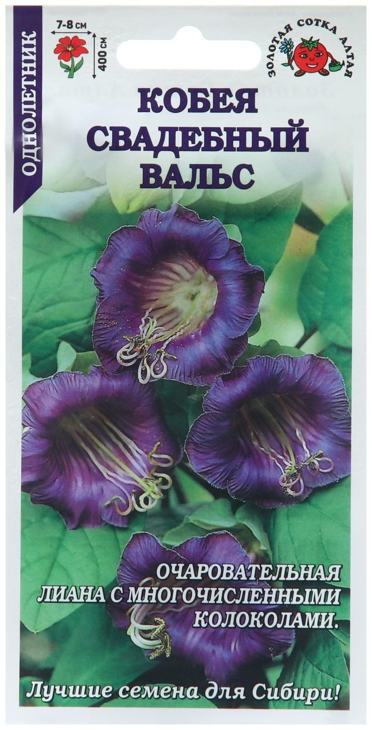 Семена цветов Кобея 